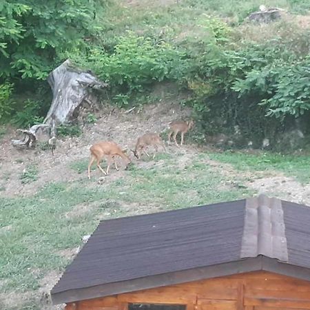 Les Cimes Bed & Breakfast Saint-Pierre-de-Riviere ภายนอก รูปภาพ