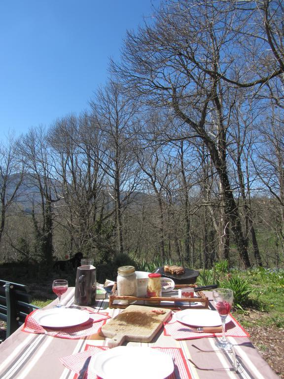 Les Cimes Bed & Breakfast Saint-Pierre-de-Riviere ภายนอก รูปภาพ